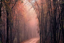 热火球队新援参加训练融入战队备战新赛季比赛