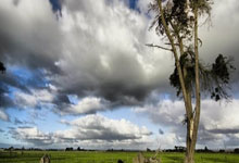 伯恩利击败对手，保持不败势头：一场让人热血沸腾的胜利