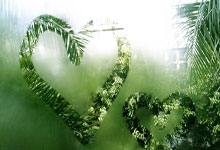 兰斯主场争取胜利，力争晋级