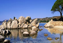 凯尔特人后卫伤痊愈，球队全力备战季后赛